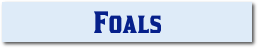 Foals