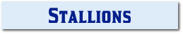 Stallions